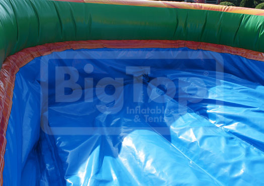 WA4281 | 19' Tropical Palm